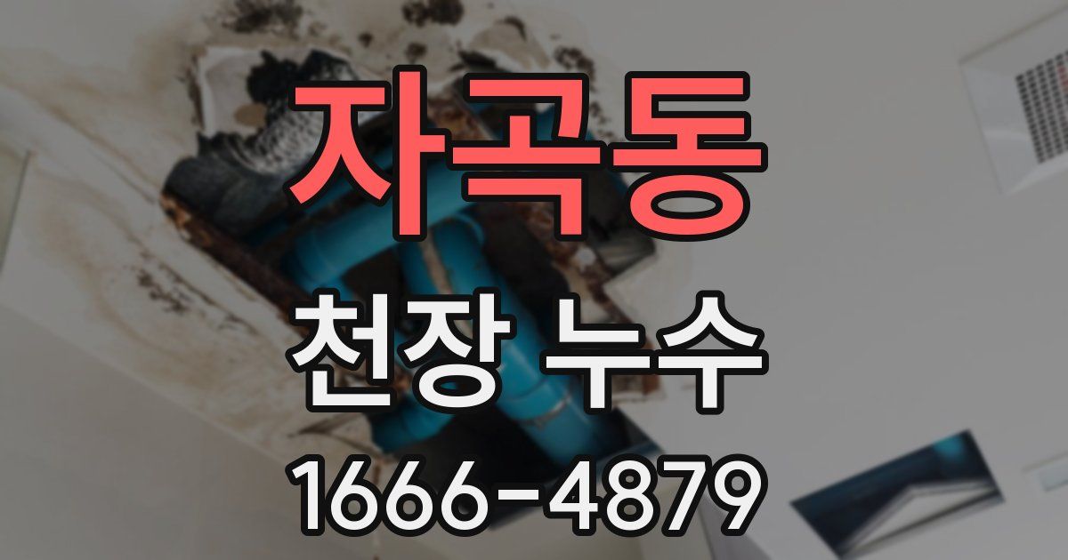 자곡동 천장 누수