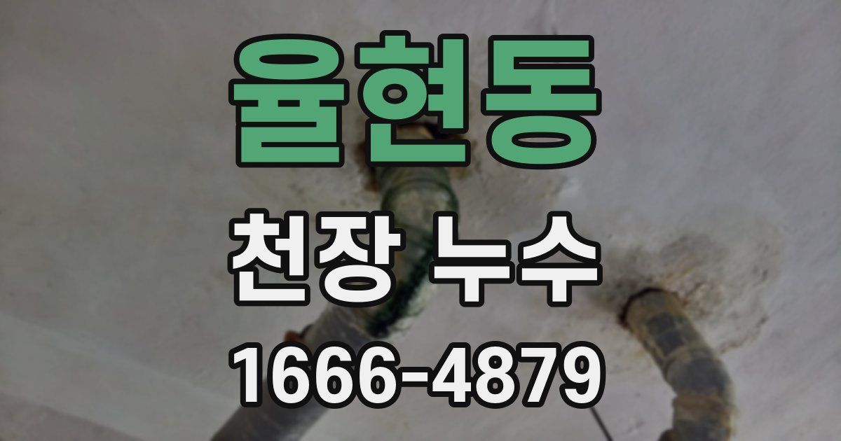 율현동 천장 누수