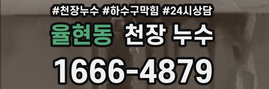 율현동 천장 누수