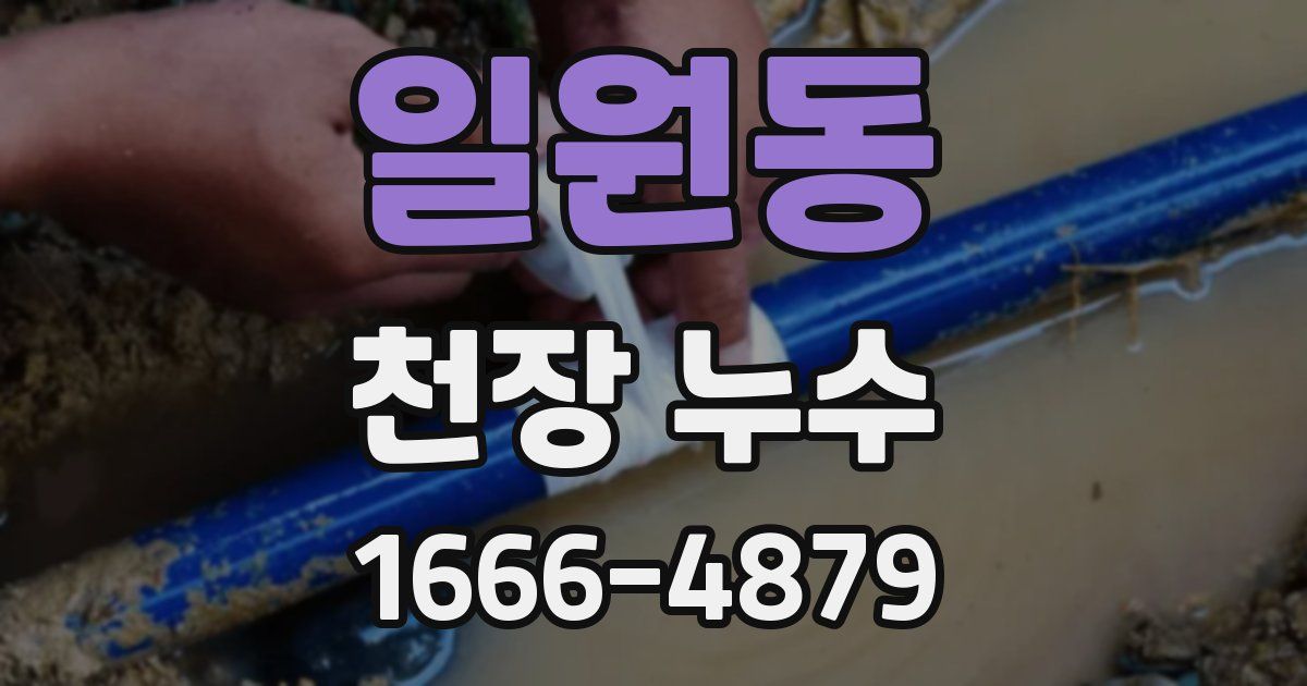 일원동 천장 누수