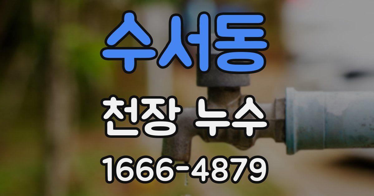 수서동 천장 누수