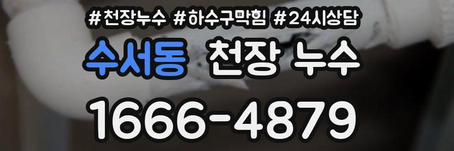 수서동 천장 누수