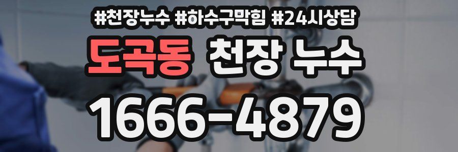 도곡동 천장 누수