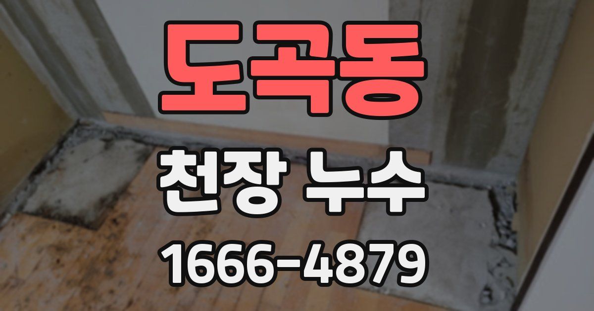 도곡동 천장 누수