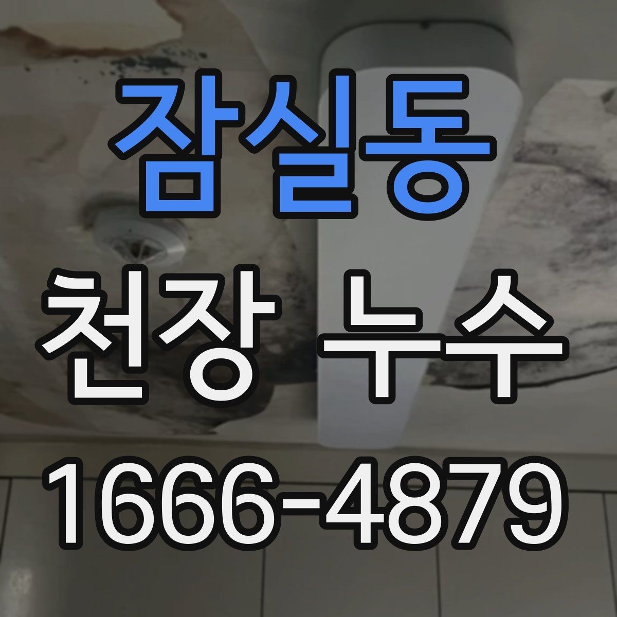 잠실동 천장 누수 천장 주변이 눅눅하고 습도가 올라갔다면