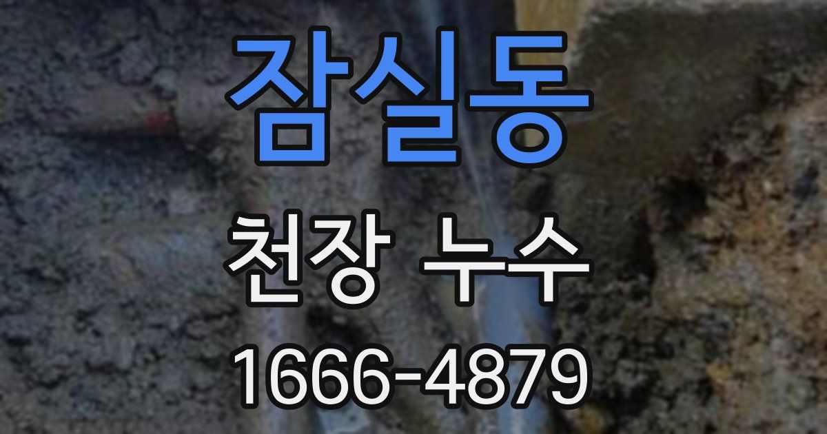 잠실동 천장 누수