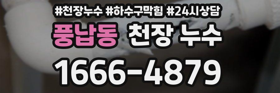 풍납동 천장 누수