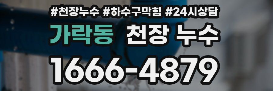 가락동 천장 누수