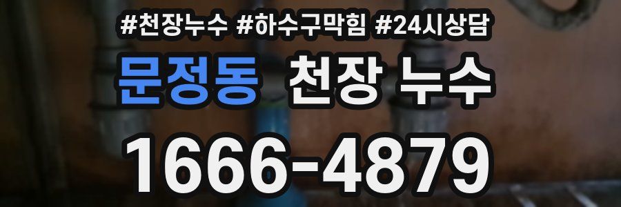 문정동 천장 누수