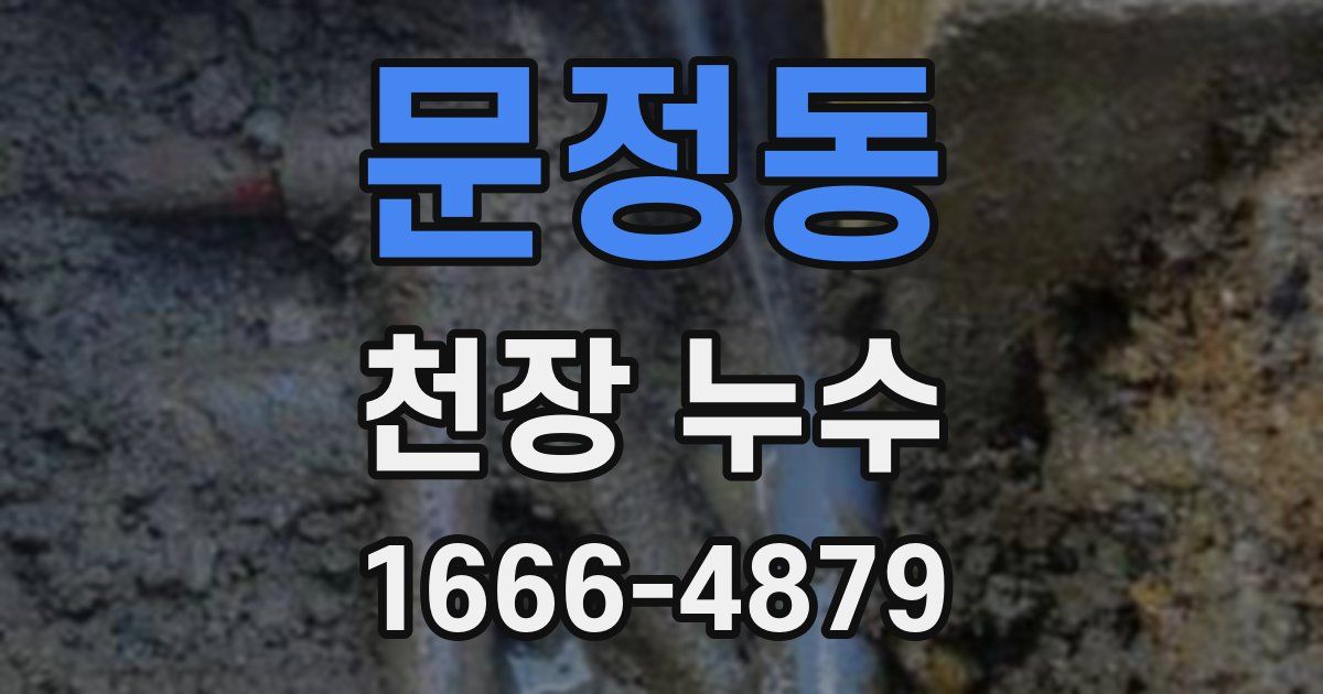 문정동 천장 누수