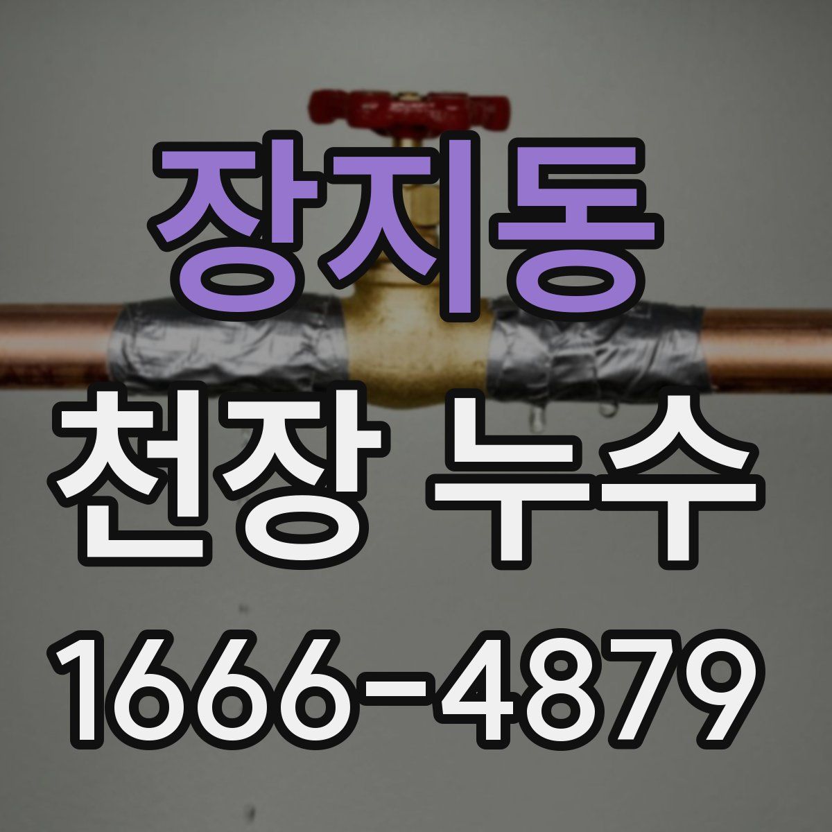 장지동 천장 누수