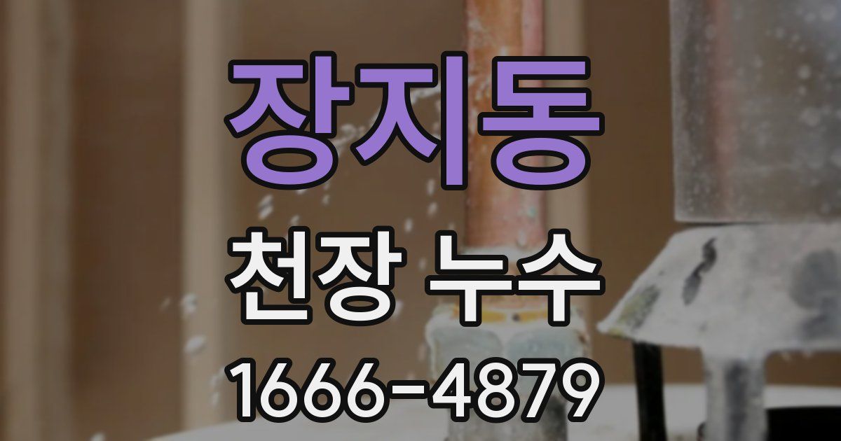 장지동 천장 누수