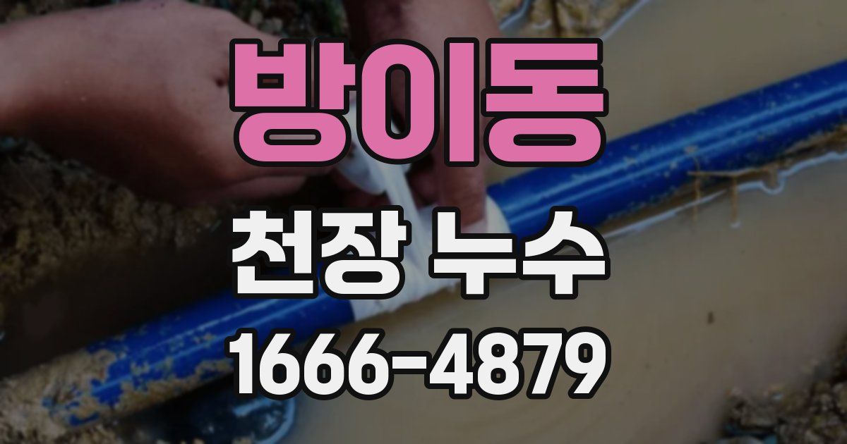 방이동 천장 누수