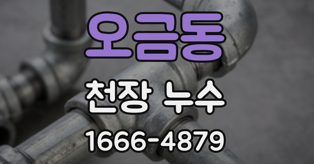 오금동 천장 누수