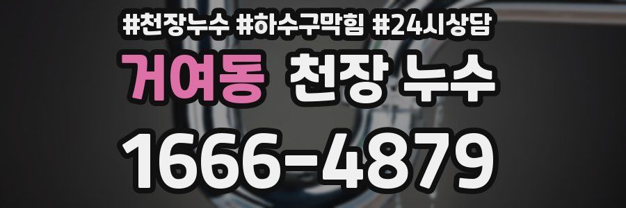 거여동 천장 누수