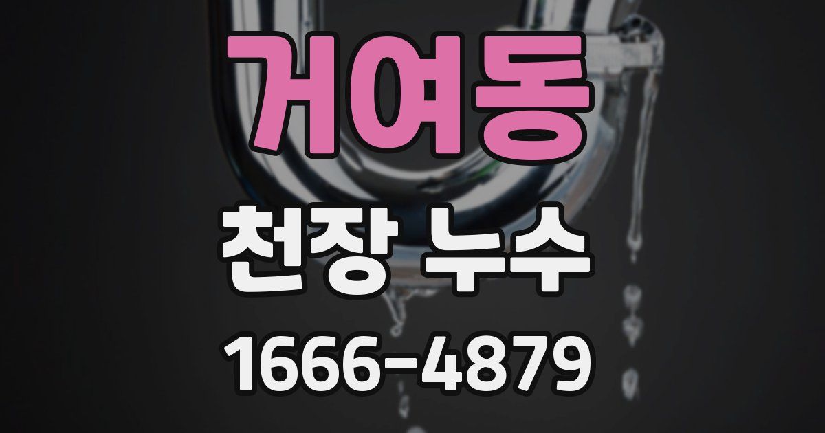 거여동 천장 누수