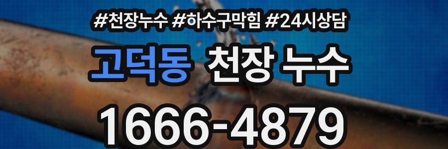 고덕동 천장 누수