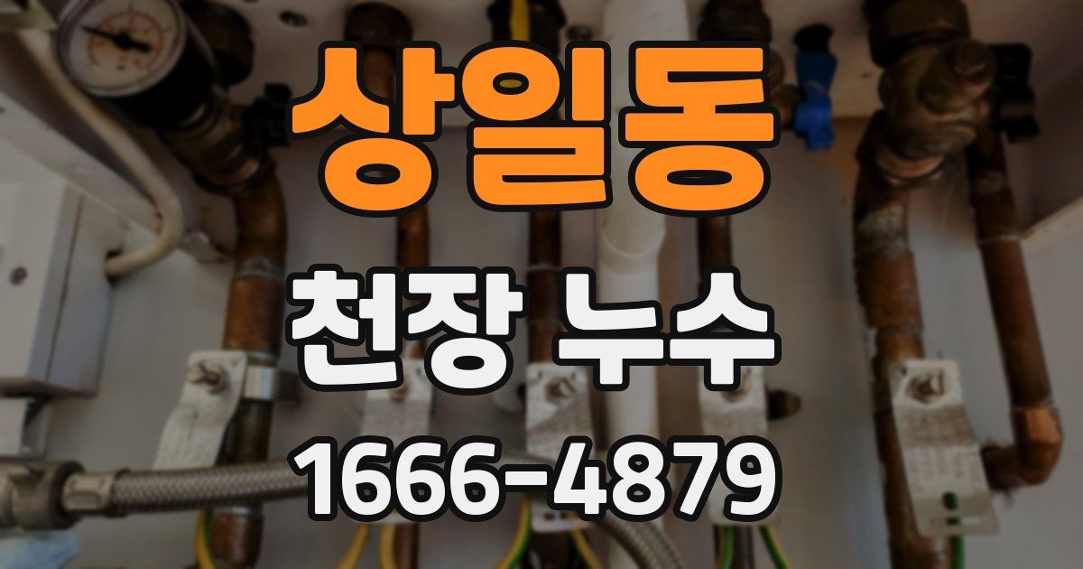 상일동 천장 누수