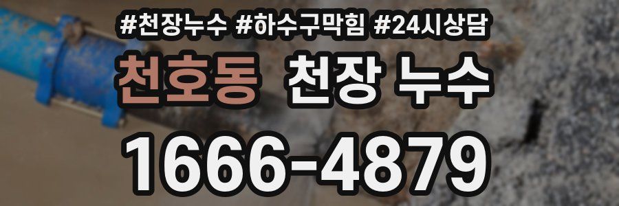 천호동 천장 누수