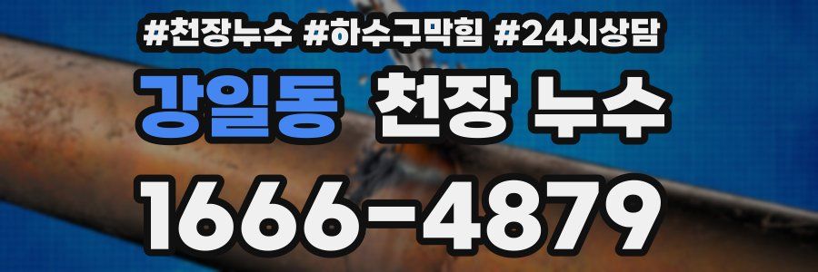 강일동 천장 누수