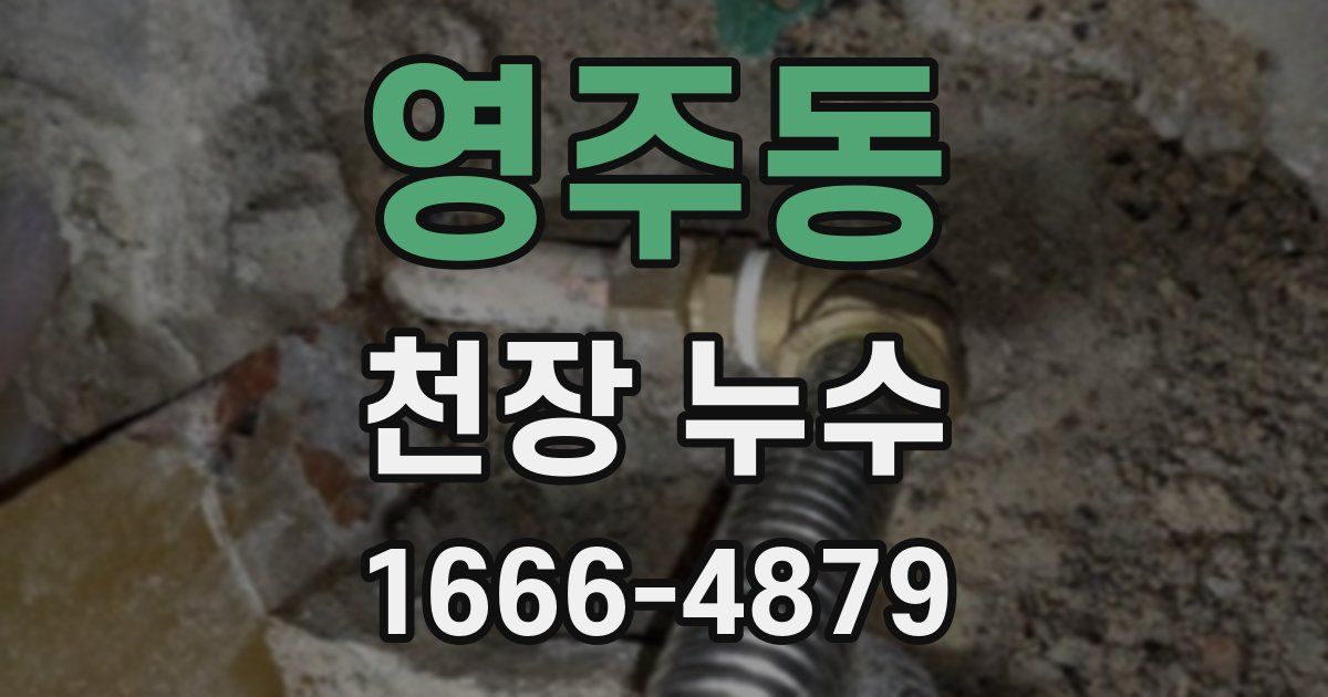 영주동 천장 누수