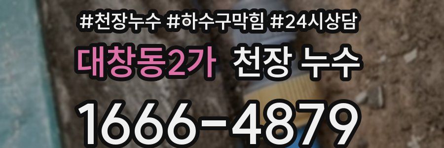 대창동2가 천장 누수