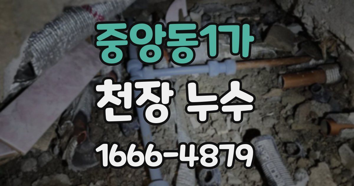 중앙동1가 천장 누수
