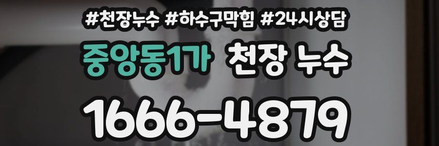 중앙동1가 천장 누수