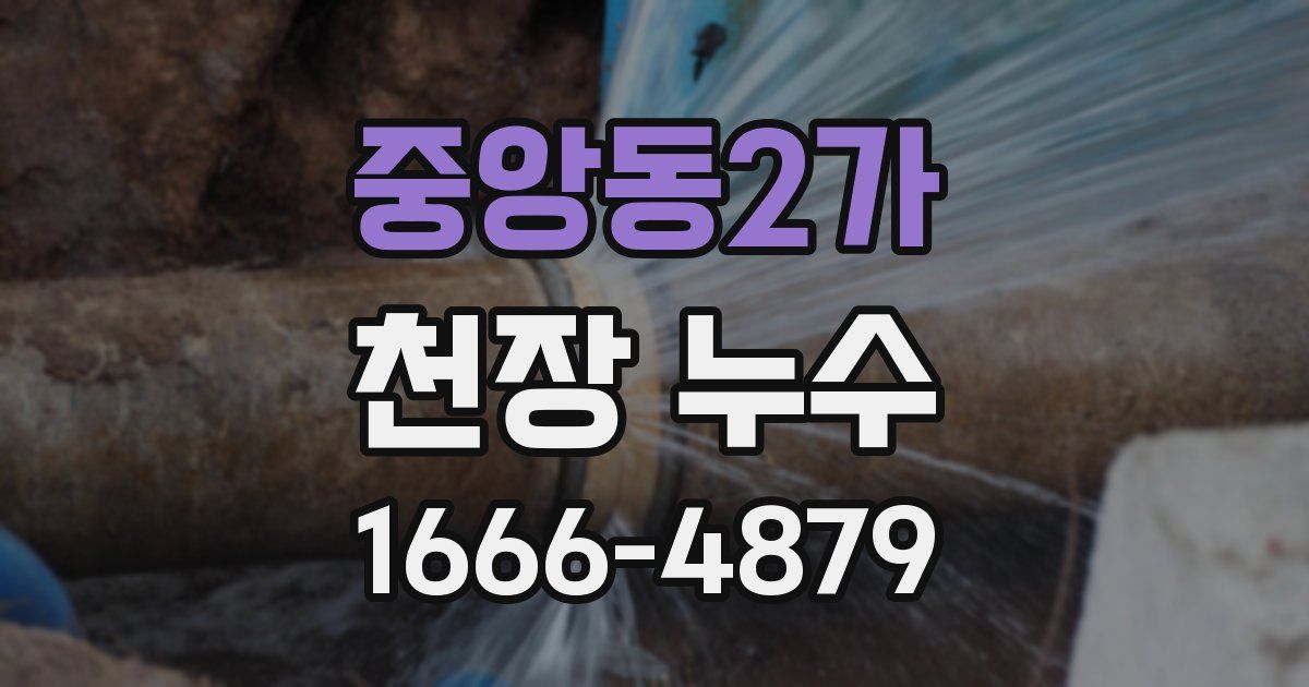 중앙동2가 천장 누수