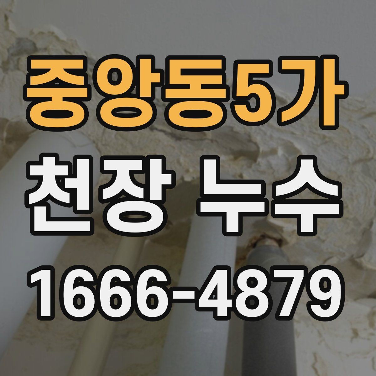 중앙동5가 천장 누수 타일 줄눈 문제로 아래집 천장이 젖는 경우