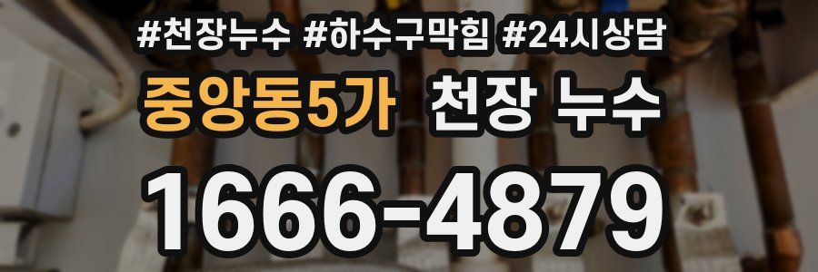 중앙동5가 천장 누수