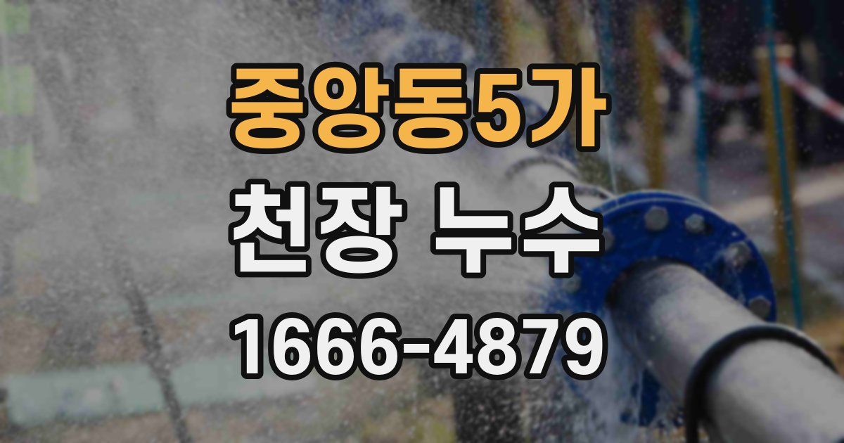 중앙동5가 천장 누수