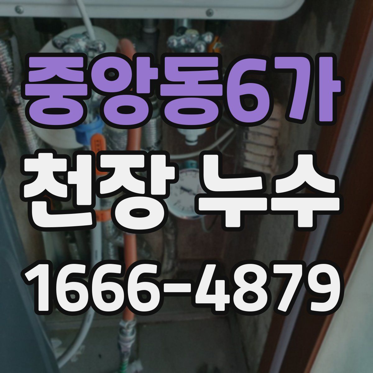 중앙동6가 천장 누수