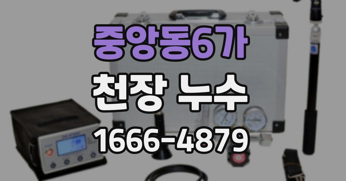 중앙동6가 천장 누수