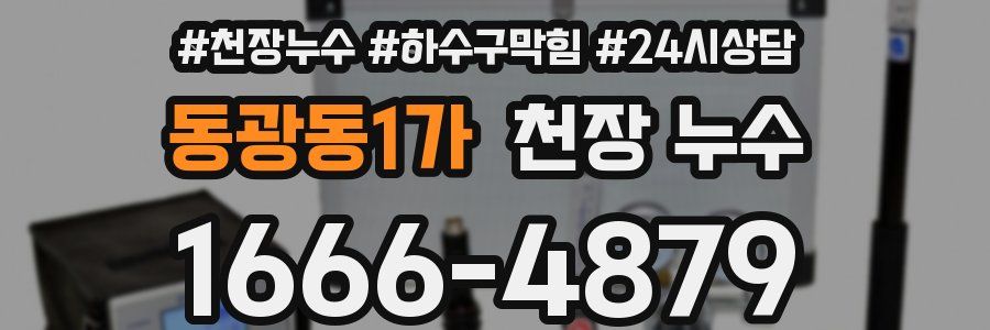 동광동1가 천장 누수