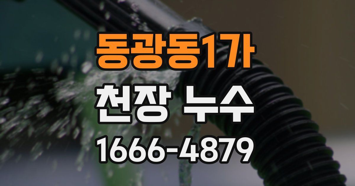 동광동1가 천장 누수