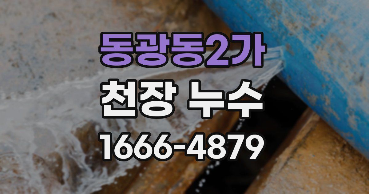 동광동2가 천장 누수