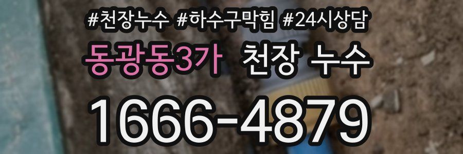 동광동3가 천장 누수