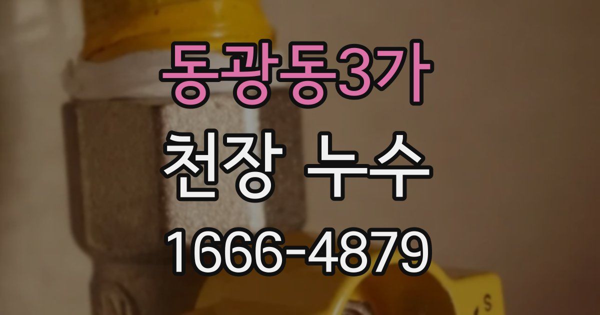 동광동3가 천장 누수