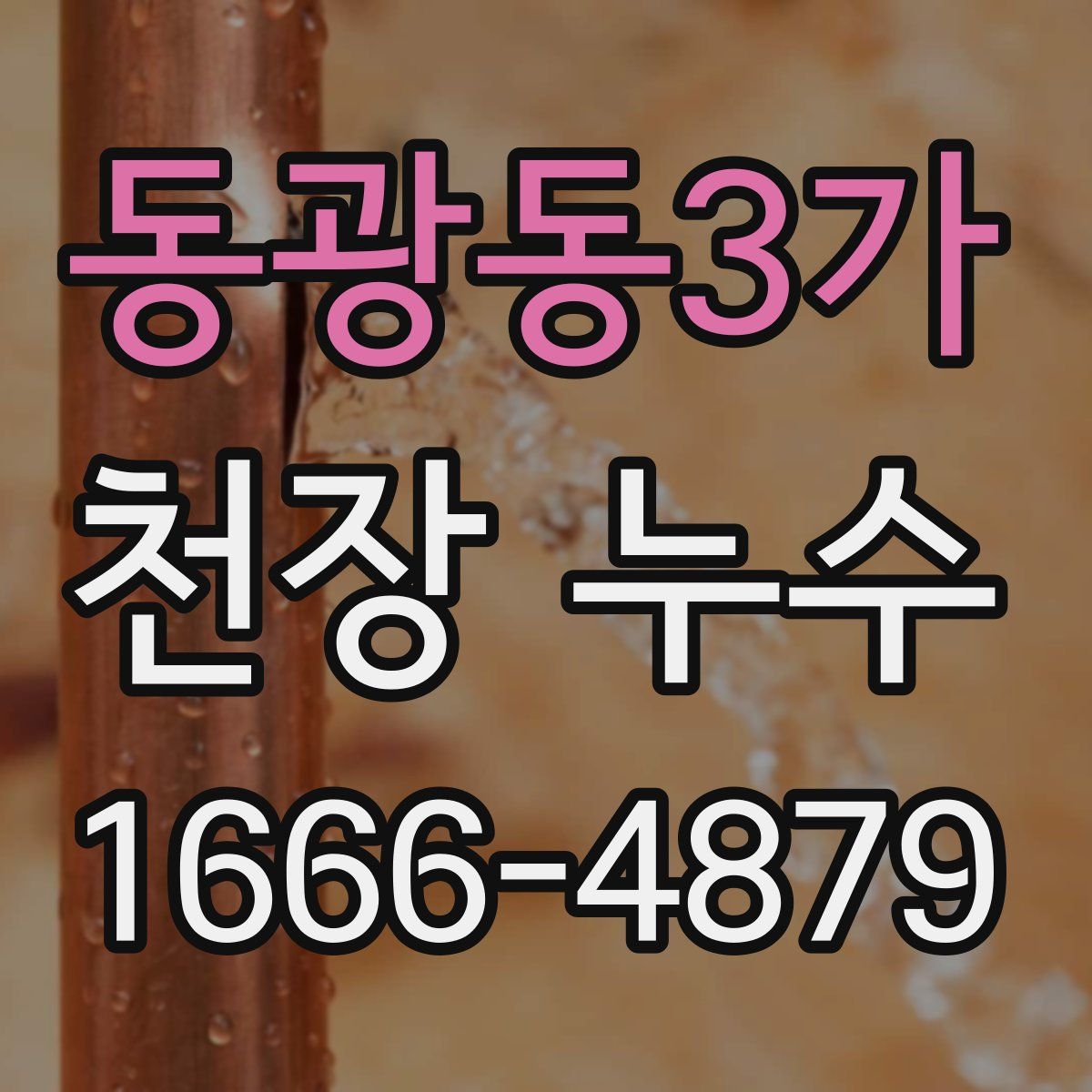 동광동3가 천장 누수