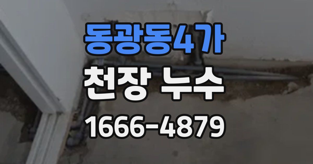 동광동4가 천장 누수