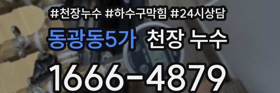 동광동5가 천장 누수