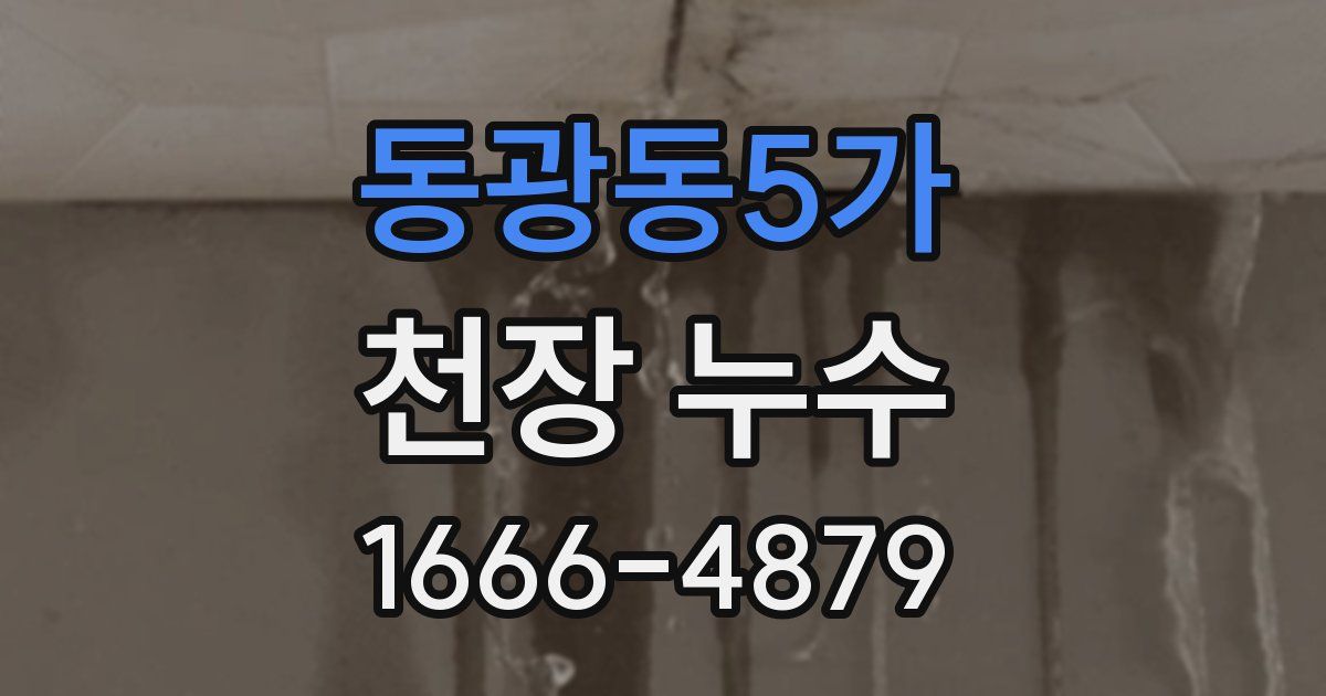 동광동5가 천장 누수