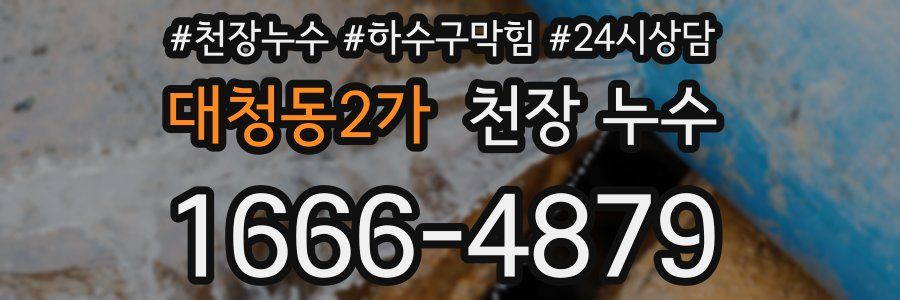 대청동2가 천장 누수