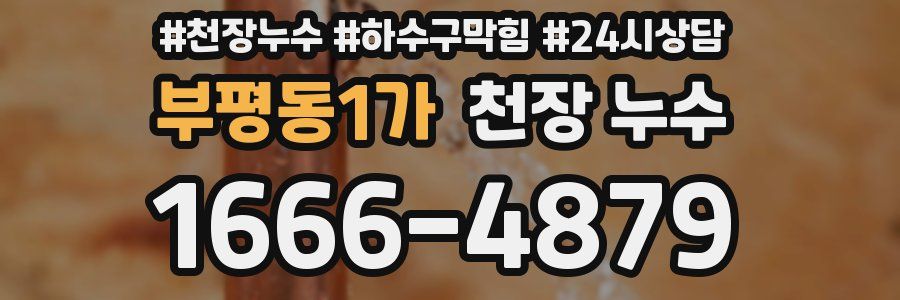 부평동1가 천장 누수