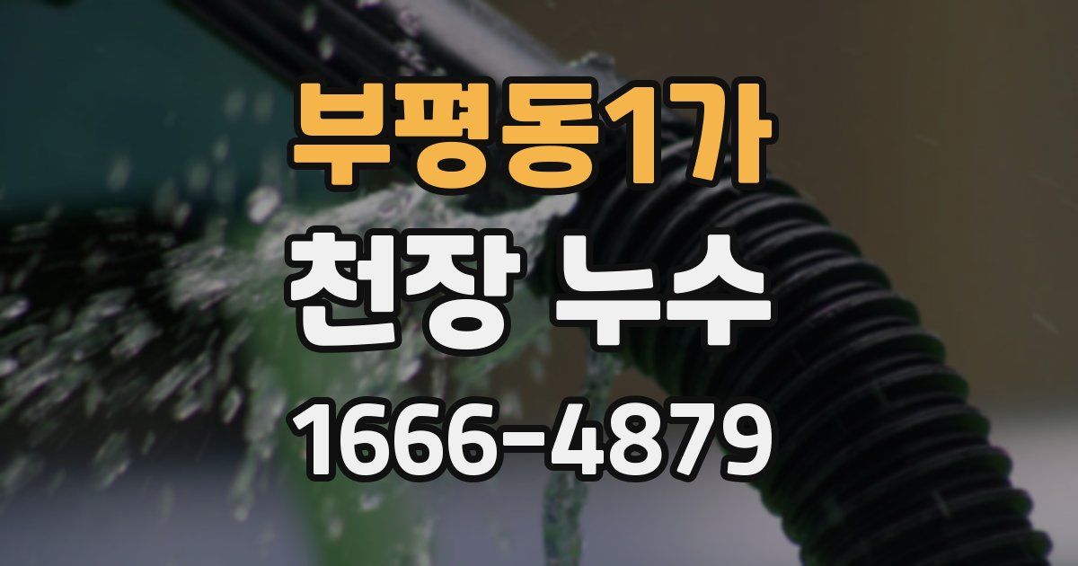 부평동1가 천장 누수