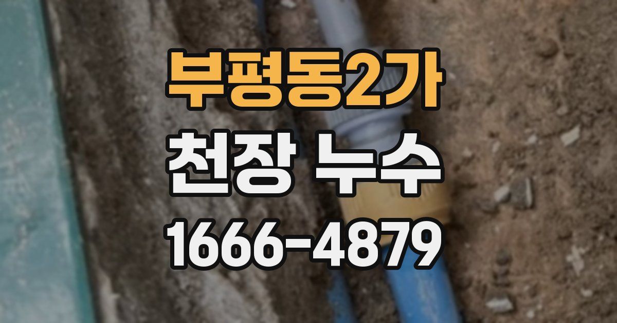 부평동2가 천장 누수