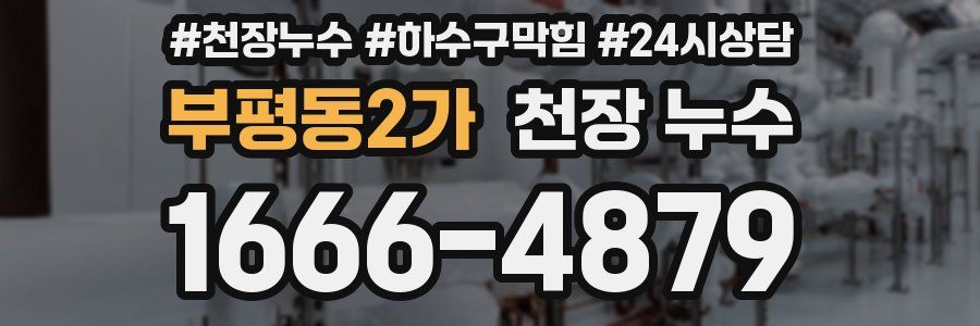 부평동2가 천장 누수