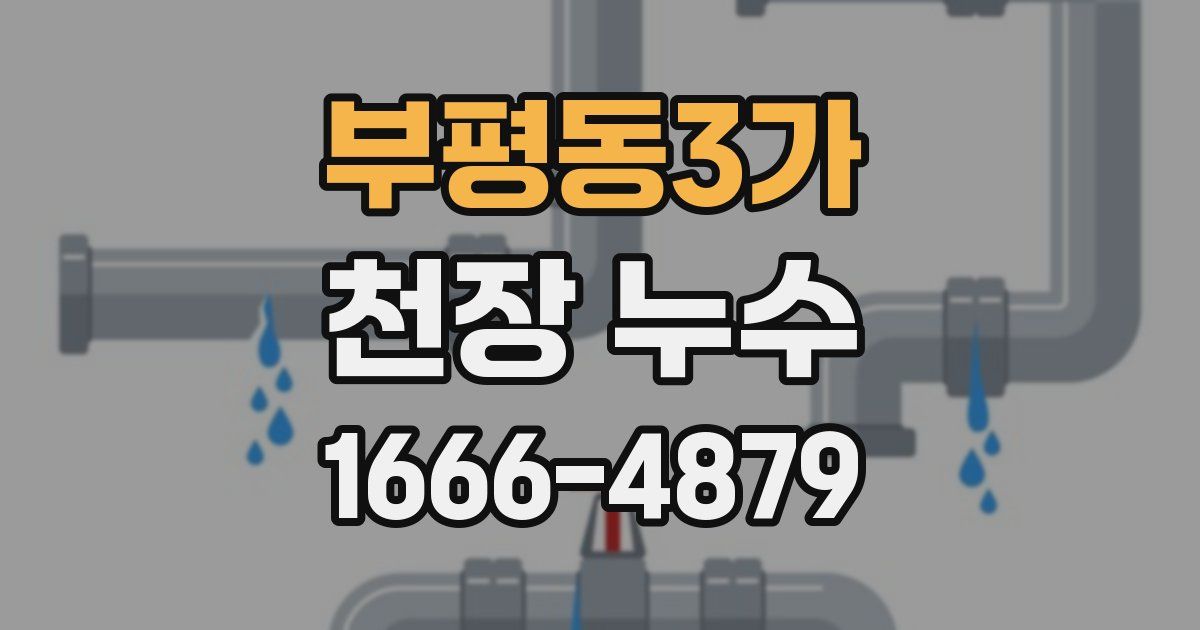 부평동3가 천장 누수