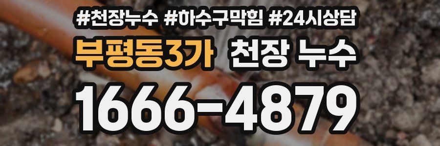 부평동3가 천장 누수